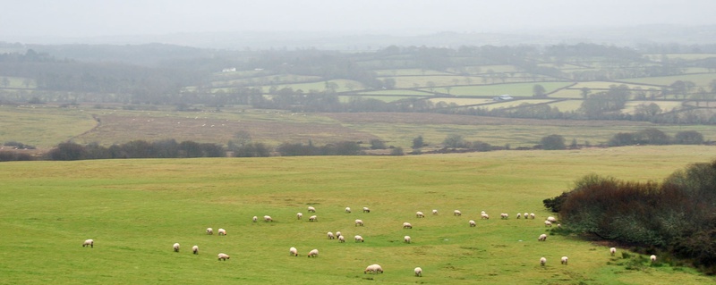 View of the moor from Hatherleigh View of the moor from Hatherleigh